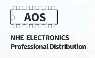 NHE  ELECTRONICS, Professional Distribution